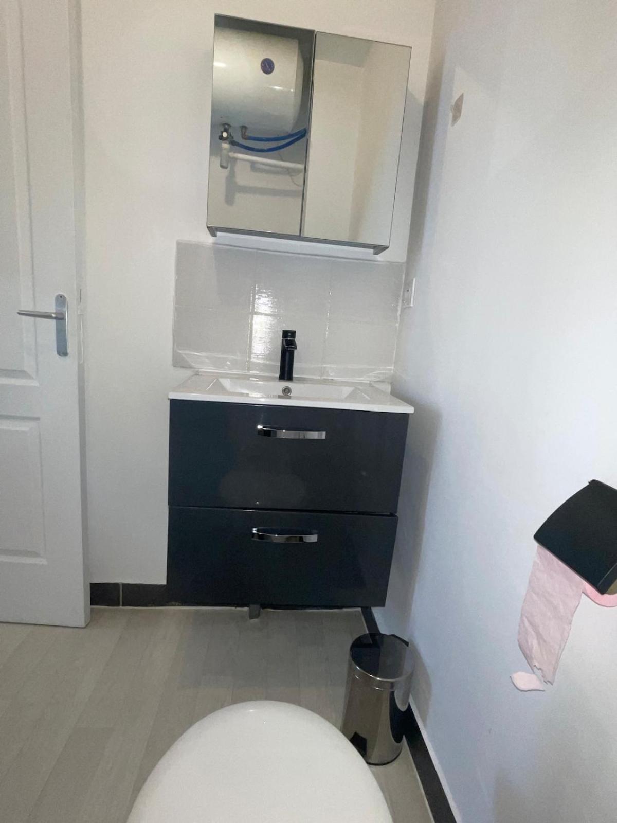 Studio Hotel Villeurbanne Centre المظهر الخارجي الصورة